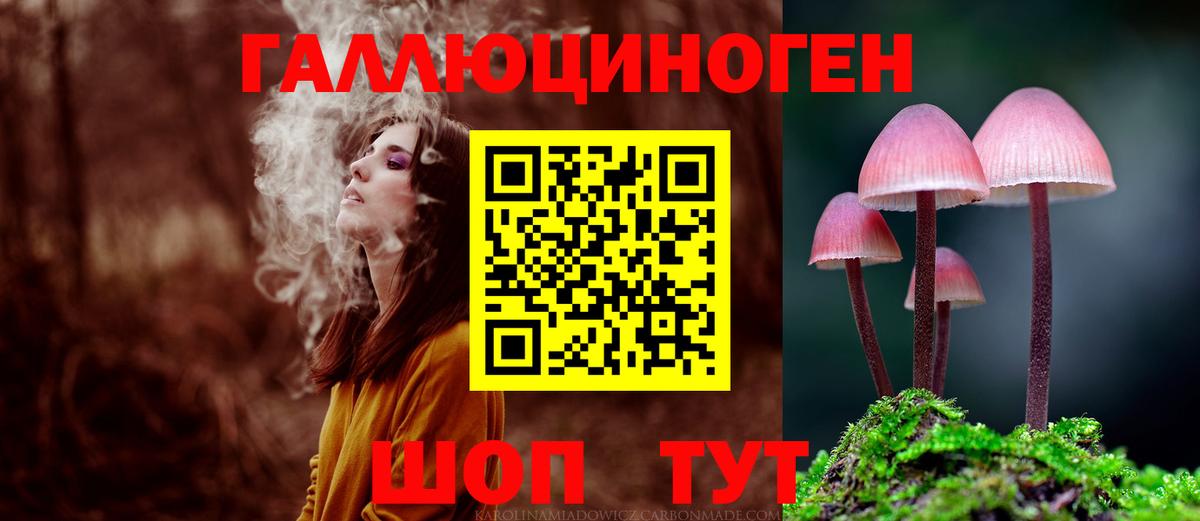 Алексин  Псилоцибиновые грибы Psilocybine cubensis  Вход с VPN 